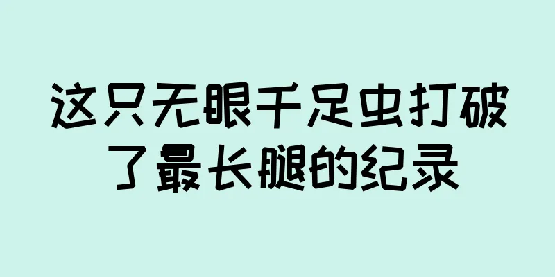 这只无眼千足虫打破了最长腿的纪录