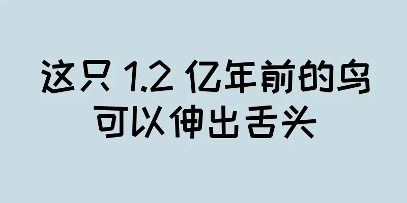 这只 1.2 亿年前的鸟可以伸出舌头