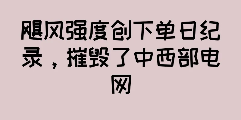 飓风强度创下单日纪录，摧毁了中西部电网