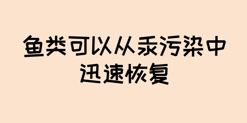 鱼类可以从汞污染中迅速恢复