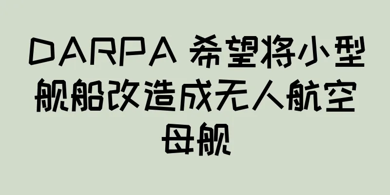 DARPA 希望将小型舰船改造成无人航空母舰