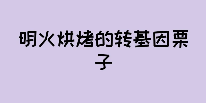 明火烘烤的转基因栗子