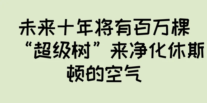 未来十年将有百万棵“超级树”来净化休斯顿的空气