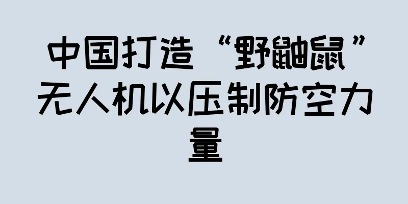 中国打造“野鼬鼠”无人机以压制防空力量