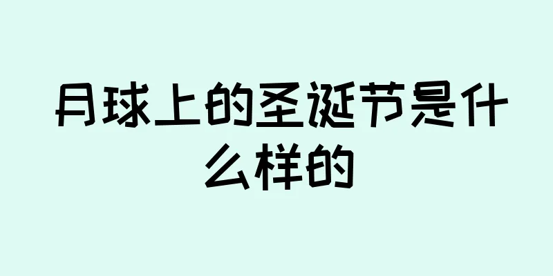 月球上的圣诞节是什么样的