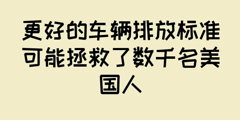 更好的车辆排放标准可能拯救了数千名美国人