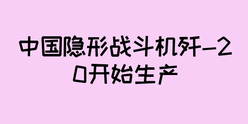 中国隐形战斗机歼-20开始生产