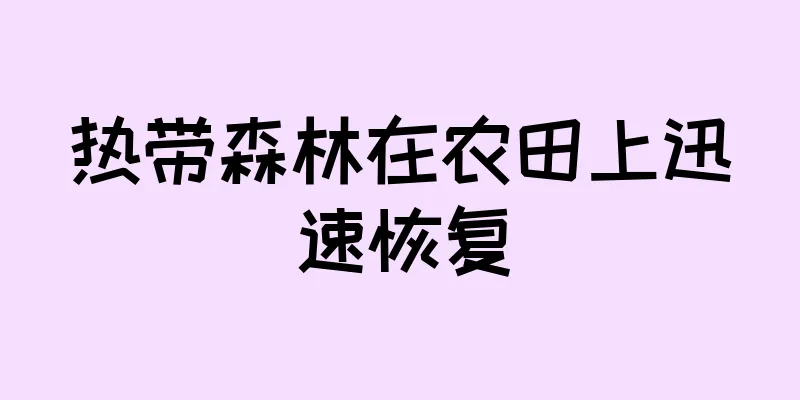 热带森林在农田上迅速恢复