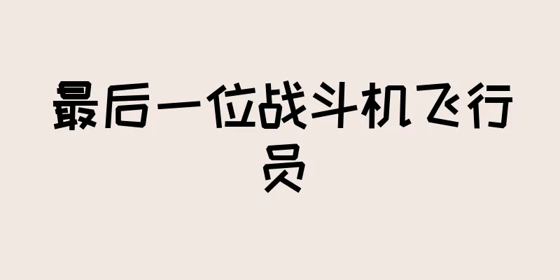 最后一位战斗机飞行员