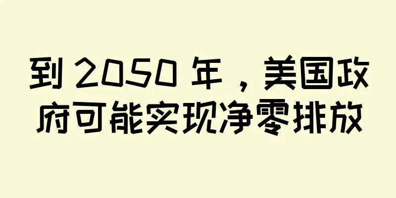 到 2050 年，美国政府可能实现净零排放