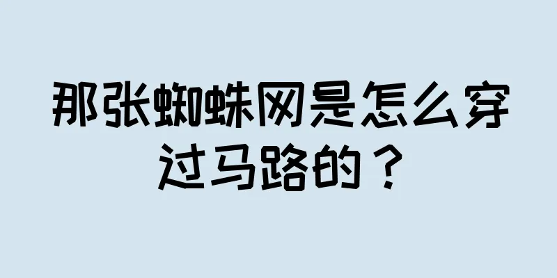 那张蜘蛛网是怎么穿过马路的？