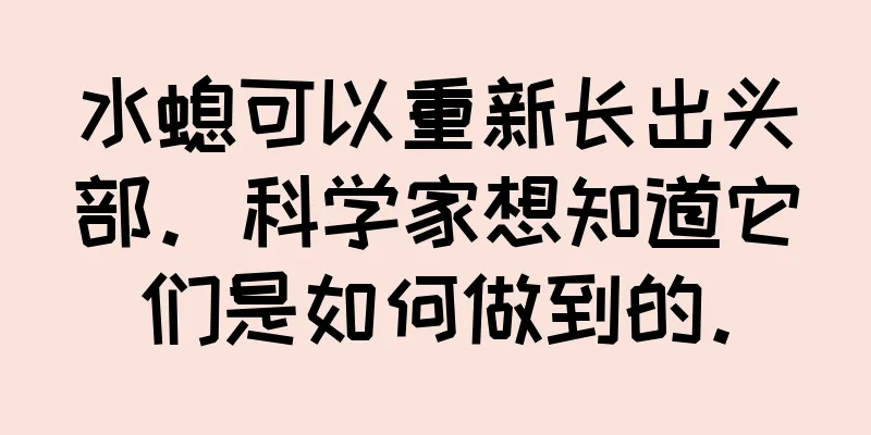 水螅可以重新长出头部。科学家想知道它们是如何做到的。