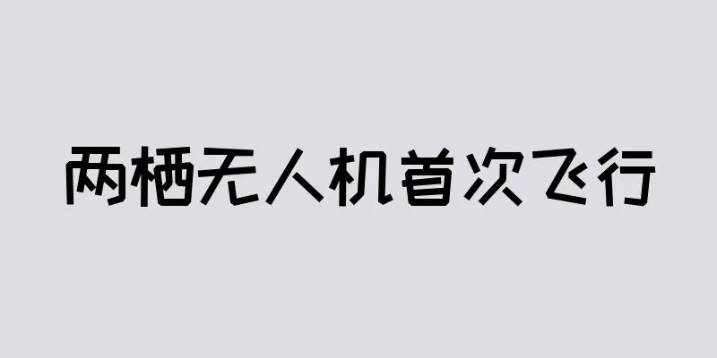 两栖无人机首次飞行