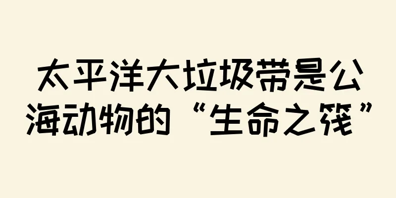 太平洋大垃圾带是公海动物的“生命之筏”