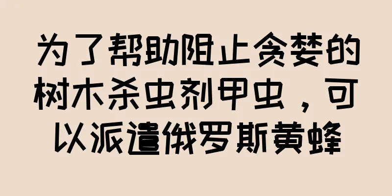 为了帮助阻止贪婪的树木杀虫剂甲虫，可以派遣俄罗斯黄蜂