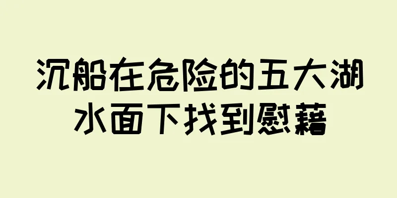 沉船在危险的五大湖水面下找到慰藉