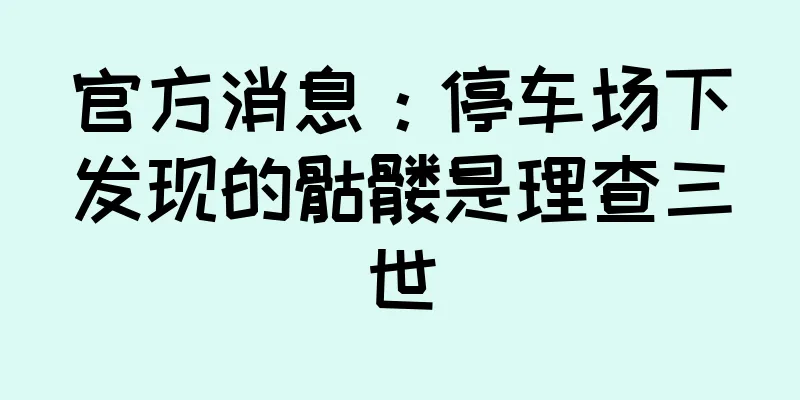 官方消息：停车场下发现的骷髅是理查三世