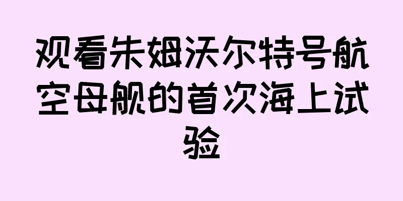 观看朱姆沃尔特号航空母舰的首次海上试验