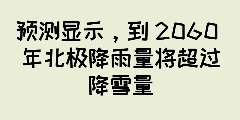 预测显示，到 2060 年北极降雨量将超过降雪量