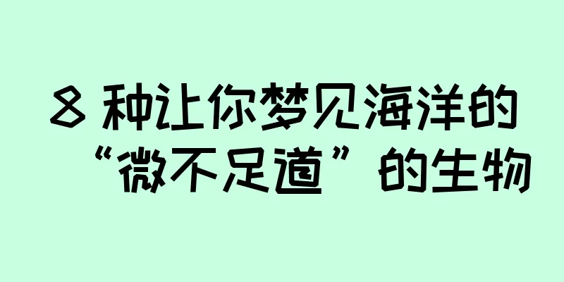 8 种让你梦见海洋的“微不足道”的生物
