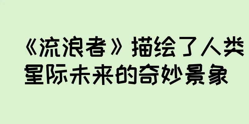 《流浪者》描绘了人类星际未来的奇妙景象