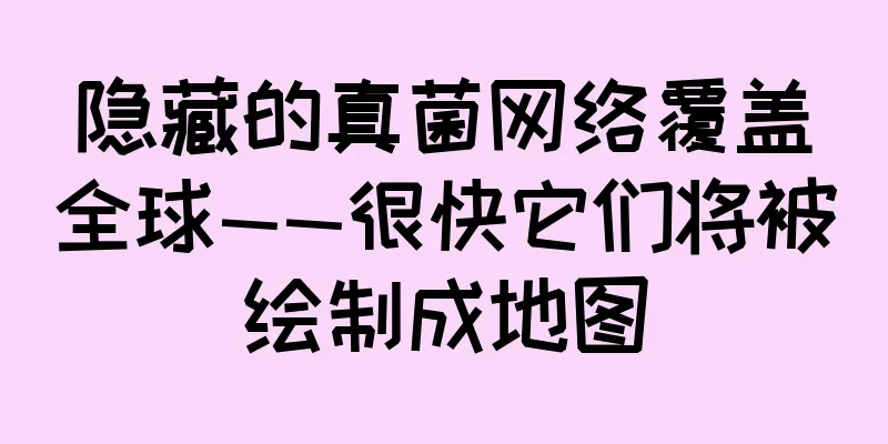 隐藏的真菌网络覆盖全球——很快它们将被绘制成地图