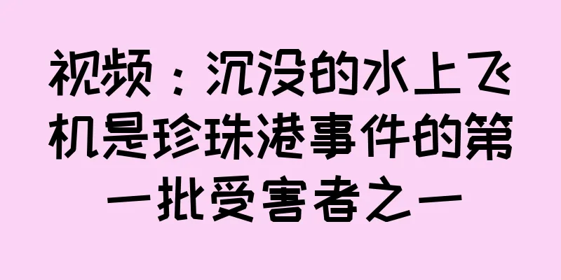 视频：沉没的水上飞机是珍珠港事件的第一批受害者之一
