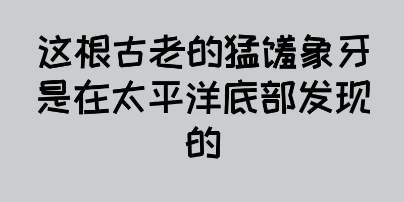 这根古老的猛犸象牙是在太平洋底部发现的