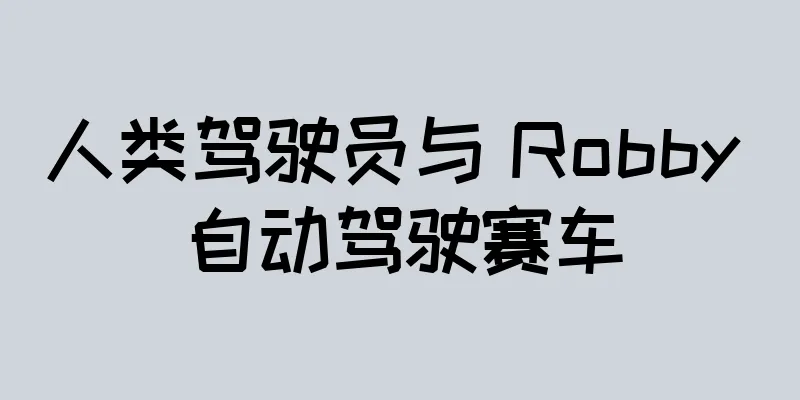 人类驾驶员与 Robby 自动驾驶赛车