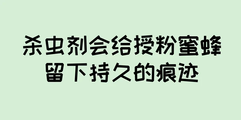 杀虫剂会给授粉蜜蜂留下持久的痕迹