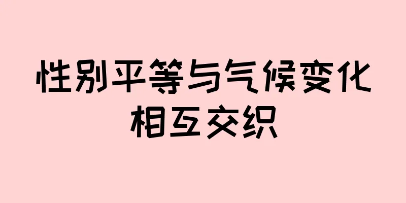 性别平等与气候变化相互交织