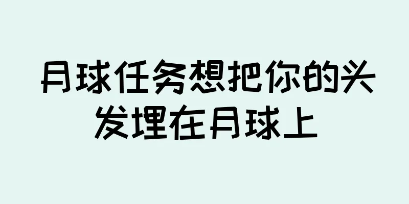 月球任务想把你的头发埋在月球上