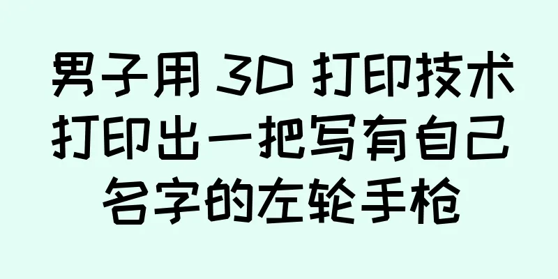 男子用 3D 打印技术打印出一把写有自己名字的左轮手枪