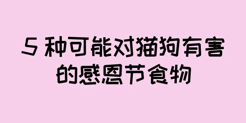 5 种可能对猫狗有害的感恩节食物