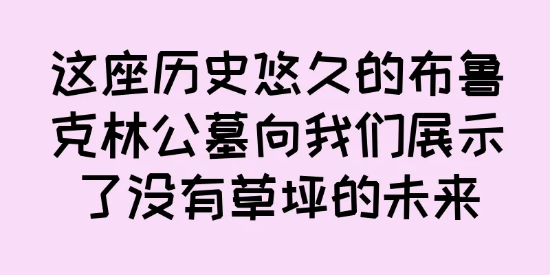 这座历史悠久的布鲁克林公墓向我们展示了没有草坪的未来