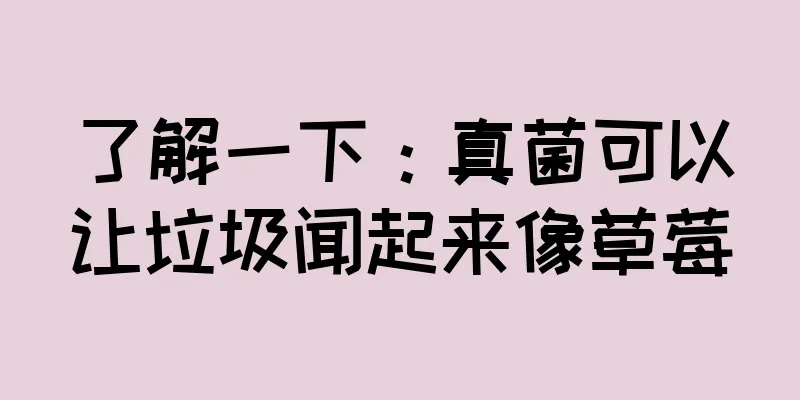 了解一下：真菌可以让垃圾闻起来像草莓