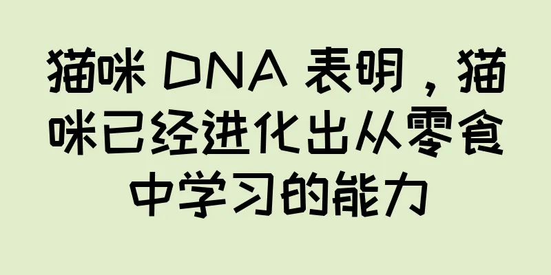 猫咪 DNA 表明，猫咪已经进化出从零食中学习的能力