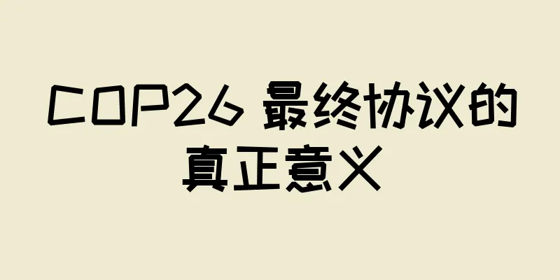 COP26 最终协议的真正意义