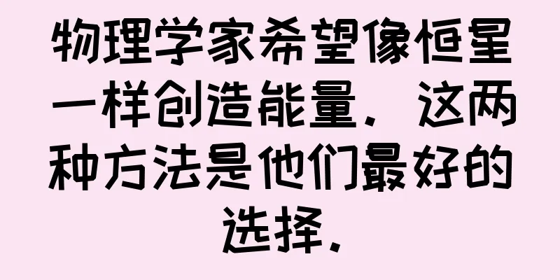 物理学家希望像恒星一样创造能量。这两种方法是他们最好的选择。