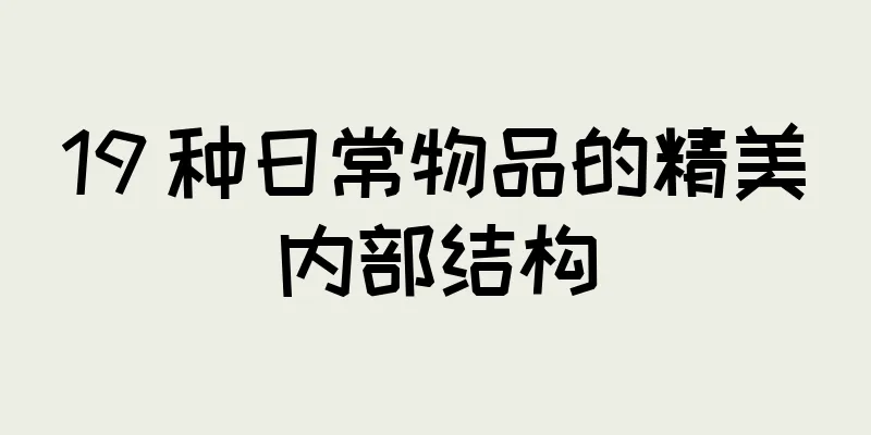 19 种日常物品的精美内部结构