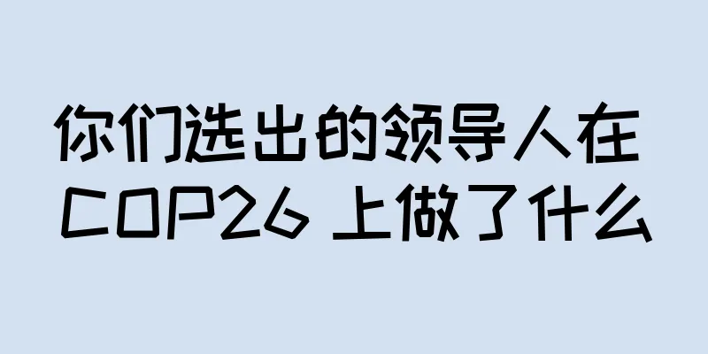 你们选出的领导人在 COP26 上做了什么