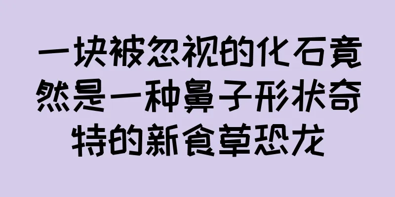 一块被忽视的化石竟然是一种鼻子形状奇特的新食草恐龙