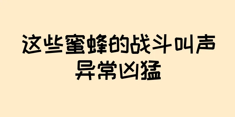 这些蜜蜂的战斗叫声异常凶猛