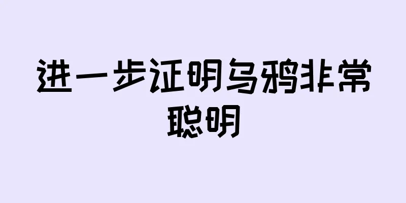 进一步证明乌鸦非常聪明