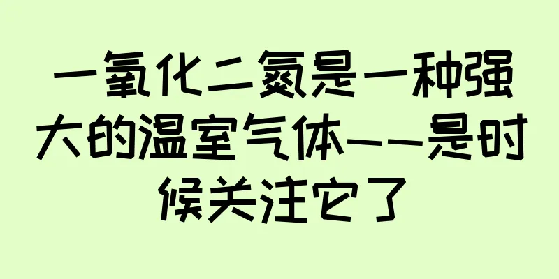 一氧化二氮是一种强大的温室气体——是时候关注它了