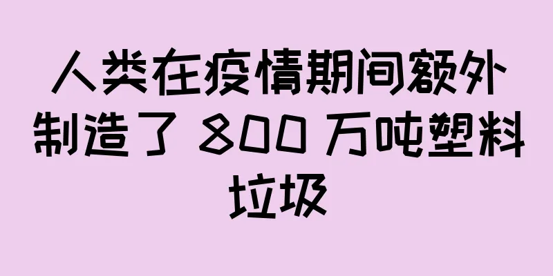 人类在疫情期间额外制造了 800 万吨塑料垃圾
