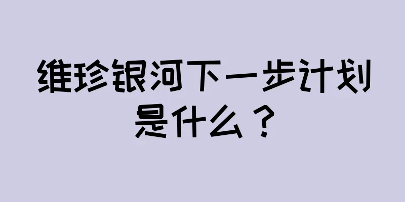 维珍银河下一步计划是什么？