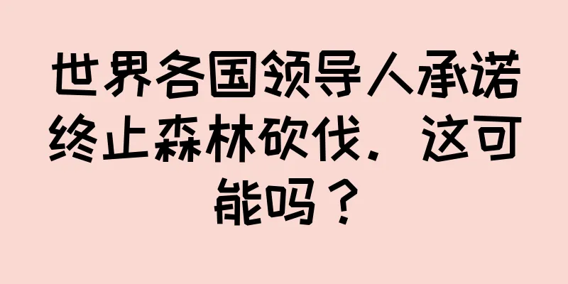 世界各国领导人承诺终止森林砍伐。这可能吗？