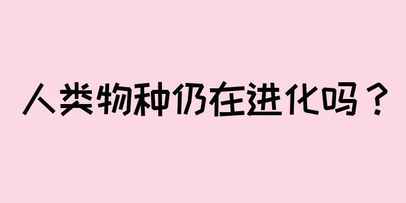 人类物种仍在进化吗？