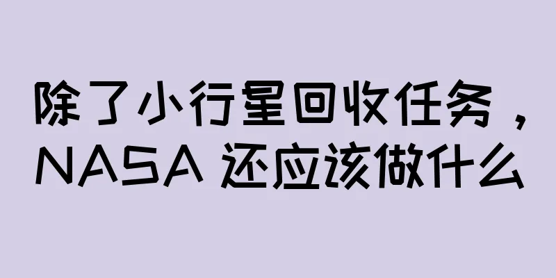 除了小行星回收任务，NASA 还应该做什么